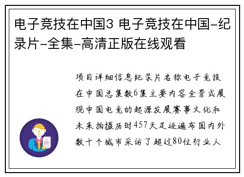 电子竞技在中国3 电子竞技在中国-纪录片-全集-高清正版在线观看